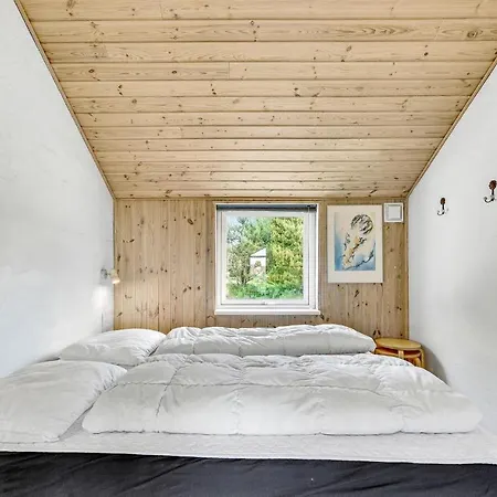 Ferienhaus Sivsangervaenget X